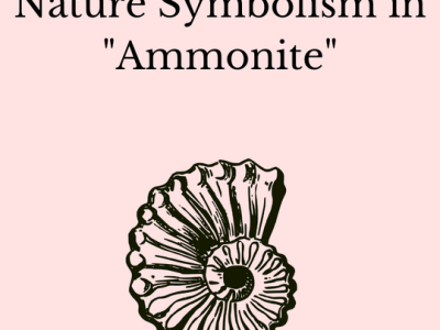 Review of “Ammonite”
